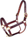 Royal King Braided Leather Halter - Jeffers - Horse Supplies > Horse Tack > Horse Halters