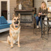 Smart Dog Trainer -   