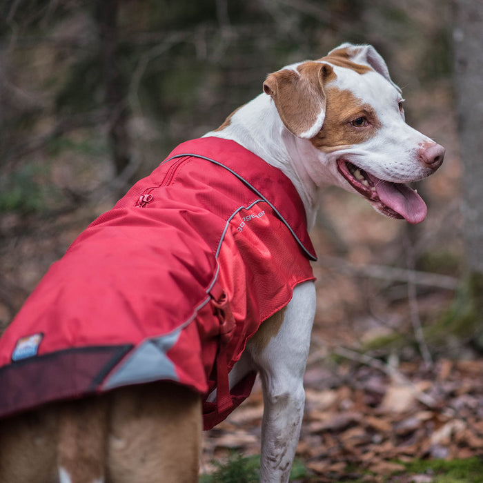 North Country Coat - Red Medium 