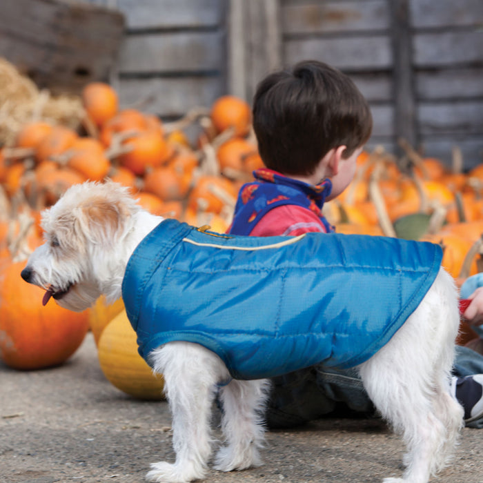 Kurgo Reversible Loft Jacket - Blue/Orange Large 