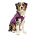 Kurgo Reversible Loft Jacket - Purple/Charcoal Small 