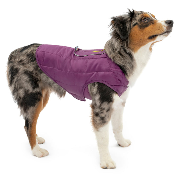 Kurgo Reversible Loft Jacket - Purple/Charcoal Small 