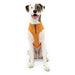 Kurgo K9 Core Sweater - Heather Orange Medium 