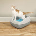 PetSafe Deluxe Crystal Litter Box System (& Accessories) - PetSafe Deluxe Crystal Litter Box System  