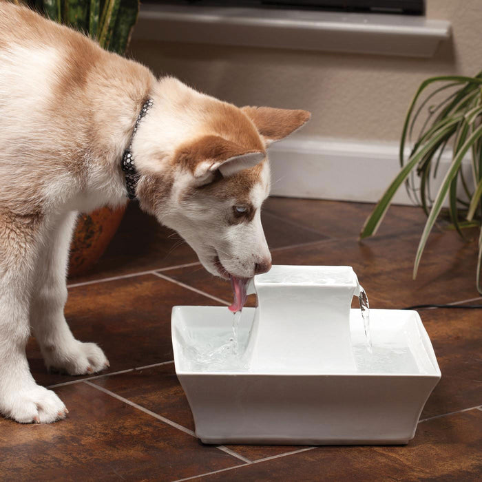 PetSafe Pagoda Fountain (& Replacement Filters) - White Ceramic Pagoda Fountain  