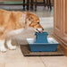 PetSafe Pagoda Fountain (& Replacement Filters) - Blue Stoneware Pagoda Fountain  