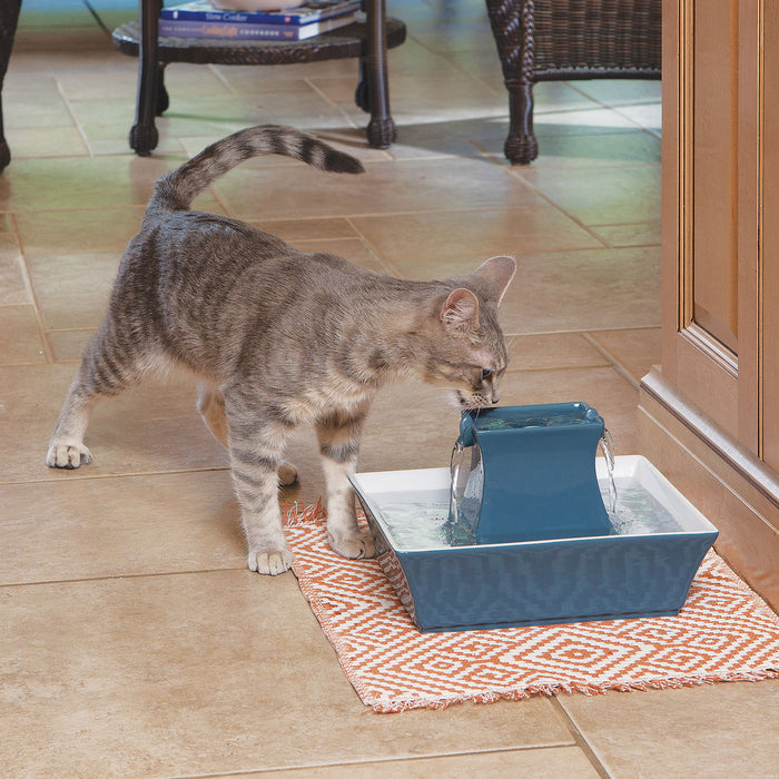 PetSafe Pagoda Fountain (& Replacement Filters) - Blue Stoneware Pagoda Fountain  