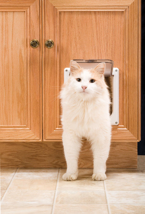 Cat Flap Pet Door - 