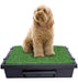 Pet Loo & Accessories - Medium Pet Loo System  