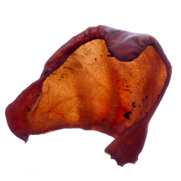 Jones Smoked Pig Ears - 30 ct Smoked Pig Ears  