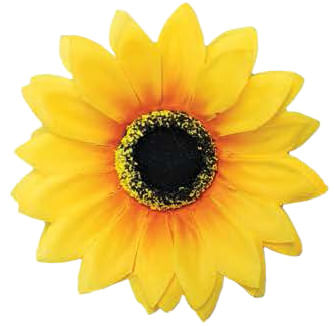 Sunflower Collar Slide - Yellow M/L Sunflower Collar Slide  