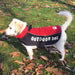 All Weather Dog Jacket, Medium - Large All Weather Jacket  