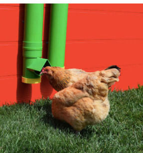 High End Hen Poultry Feeder & Waterer -   