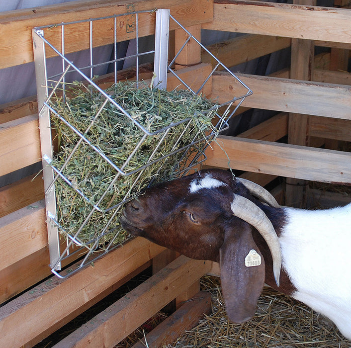 Sheep & Goat Galvanized Basket Feeder -   