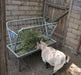 Mini Pasture Feeder -   