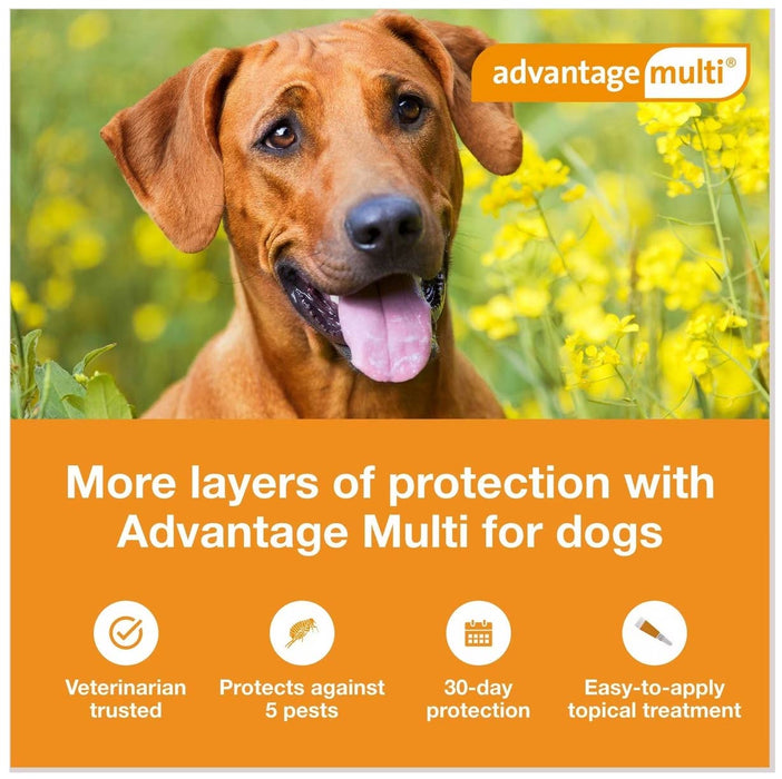 Rx Advantage Multi for Dogs - Jeffers - Animal Health & Wellness > Flea & Tick Control