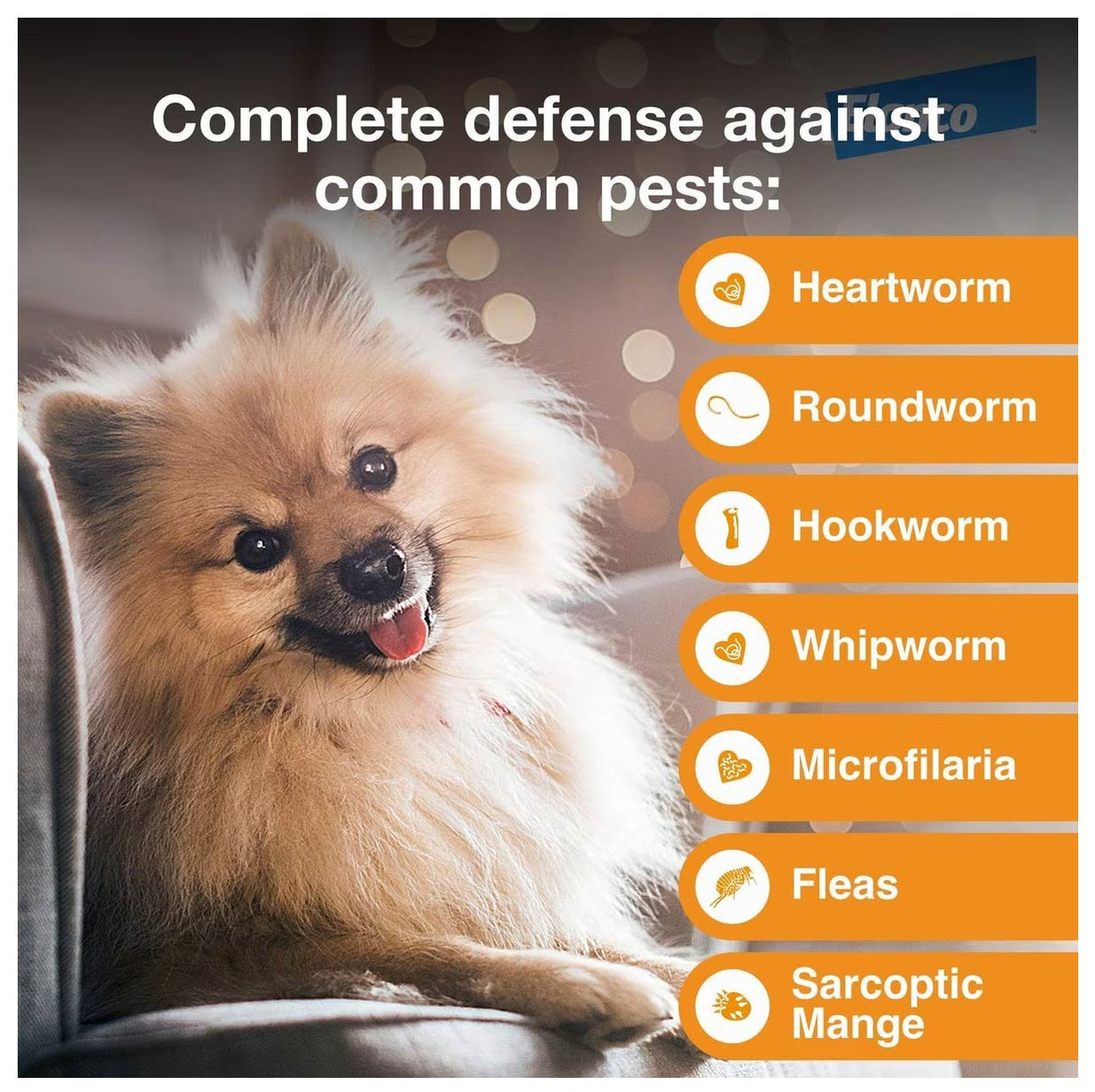 Rx Advantage Multi for Dogs Flea & Tick Control — Jeffers