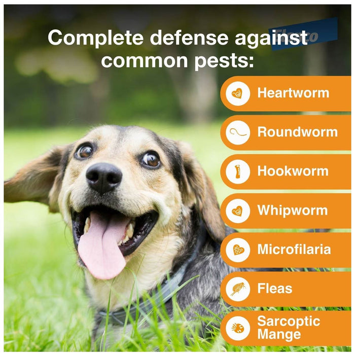 Rx Advantage Multi for Dogs - Jeffers - Animal Health & Wellness > Flea & Tick Control