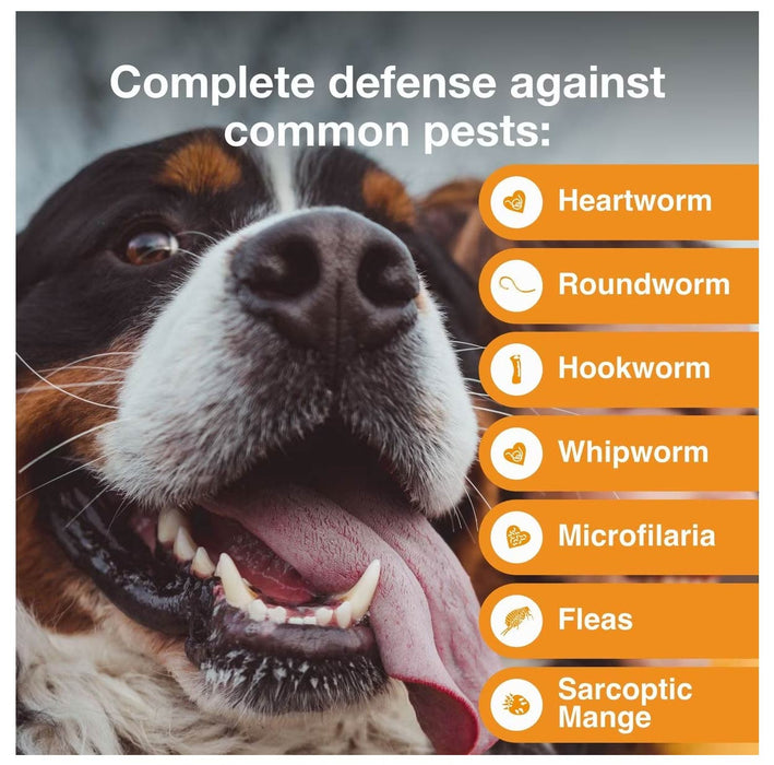 Rx Advantage Multi for Dogs - Jeffers - Animal Health & Wellness > Flea & Tick Control