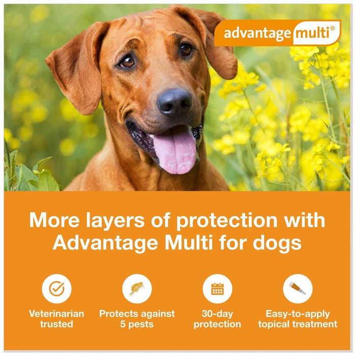 Rx Advantage Multi for Dogs - Jeffers - Animal Health & Wellness > Flea & Tick Control