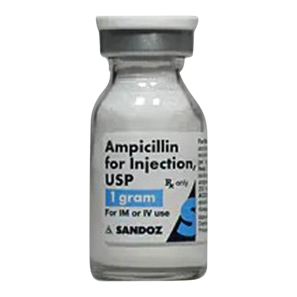 Rx Ampicillin Injection for Dogs, Cats & Horses, 1 gm — Jeffers