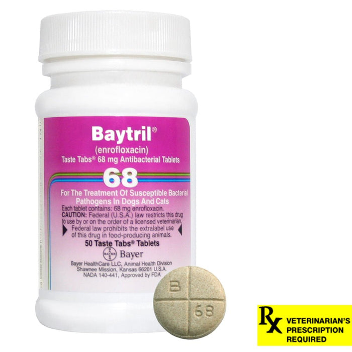 Rx Baytril for Dogs and Cats (Tablets) - Jeffers - Animal Health & Wellness > Medicine