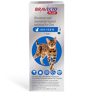 Rx BRAVECTO Plus Topical Cat - Jeffers - Animal Health & Wellness > Flea & Tick Control