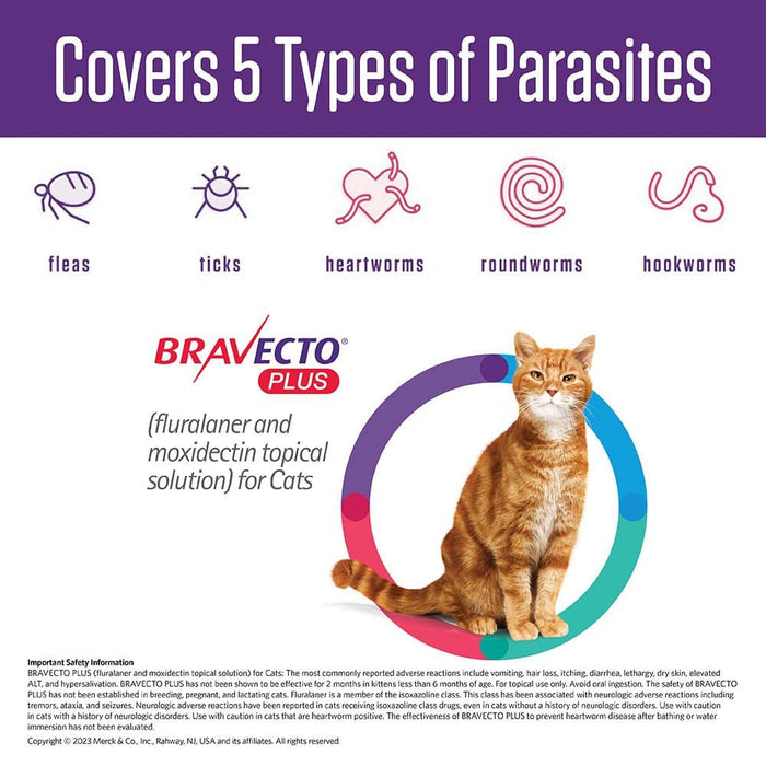 Rx BRAVECTO Plus Topical Cat - Jeffers - Animal Health & Wellness > Flea & Tick Control