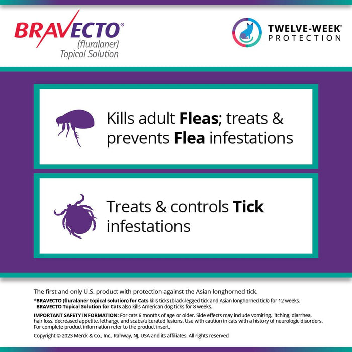 Rx BRAVECTO Topical Feline - Jeffers - Animal Health & Wellness > Flea & Tick Control