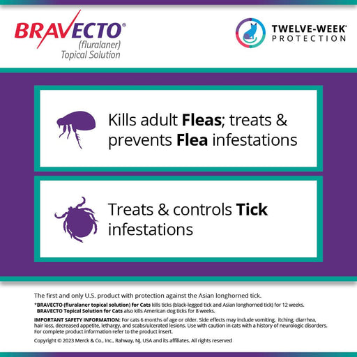 Rx BRAVECTO Topical Feline - Jeffers - Animal Health & Wellness > Flea & Tick Control