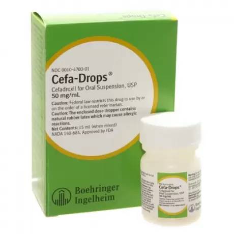 Rx Cefa Drops, 50mg/ml x 15ml - Jeffers - Animal Health & Wellness > Medicine