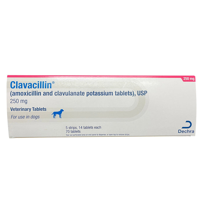 Rx Clavacillin (amoxicillin trihydrate/clavulanate potassium) Tablets for Dogs & Cats - 012DEC-442-07 - 250 mg - 70 Tablets - 10