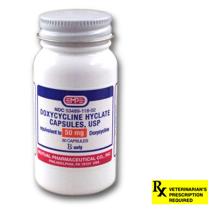 Rx Doxycycline Hyclate, Capsule - Jeffers - Animal Health & Wellness > Medicine