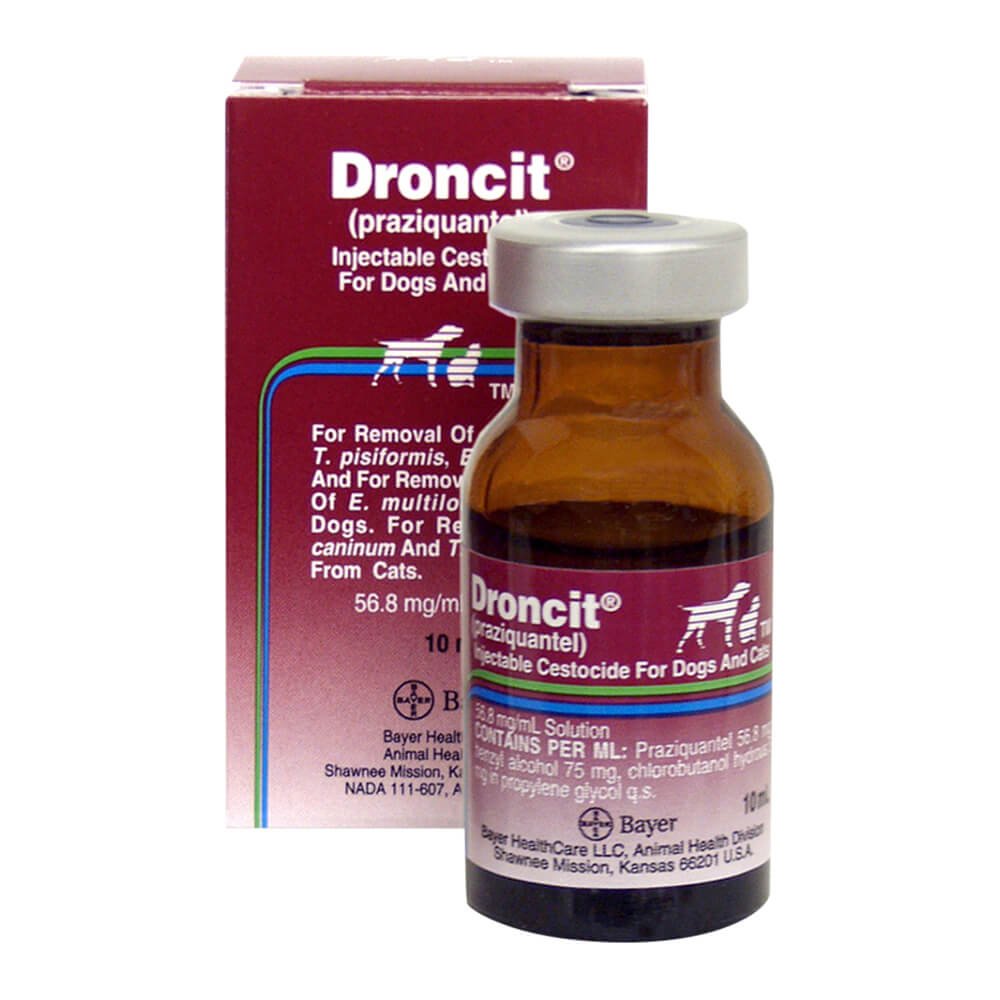 Droncit Injectable for Dogs and Cats — Jeffers