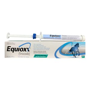 Rx Equioxx Paste, 6.93 gram Syringes - Jeffers - Animal Health & Wellness > Medicine