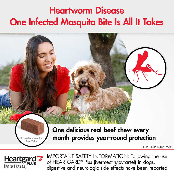 Rx Heartgard Plus (ivermectin/pyrantel) Monthly Chewables — Effective Heartworm & Parasite Prevention for Dogs Puppies - 012MAC03-51-100 - 51 - 100 lbs - 12 Month (12 Chews) - Beef - 6