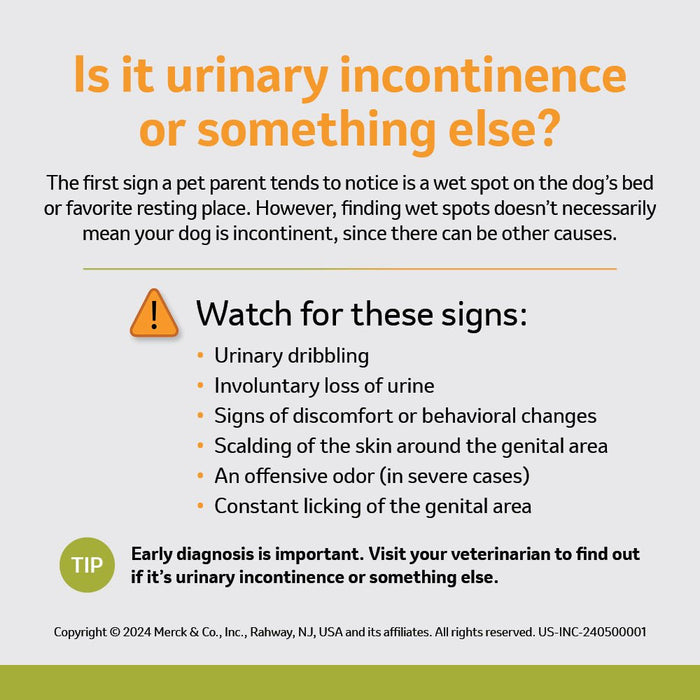 Rx Incurin (estriol) 1 mg Tablets for Dogs - 012MER-43230 - 30 tablets - 7