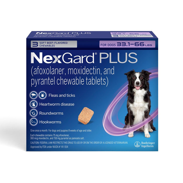 Rx NexGard Plus - Jeffers - Animal Health & Wellness > Medicine