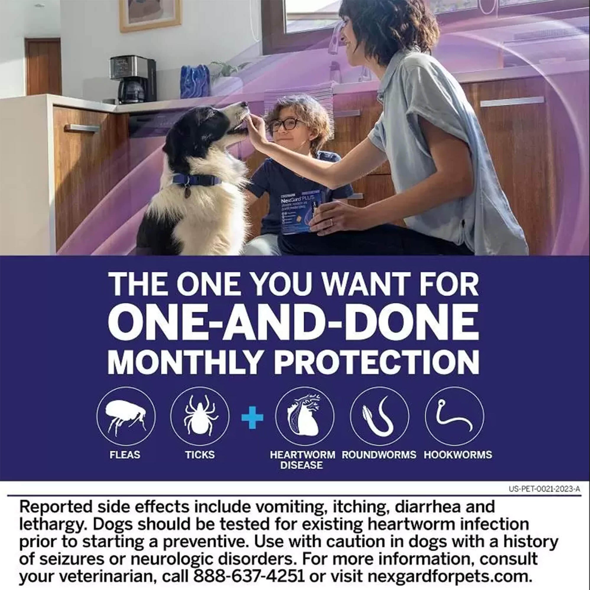 Nexgard Plus Flea and Tick Chewables for Dogs — Jeffers