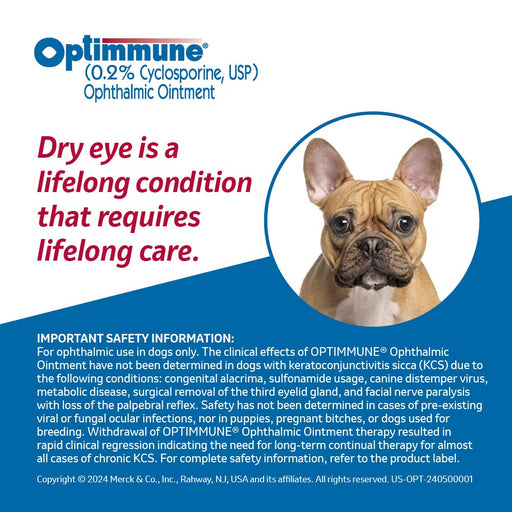 Rx Optimmune (cyclosporine) Opthalmic Ointment for Dogs, 3.5gm Tube - 012SCH09-3-5 - 2