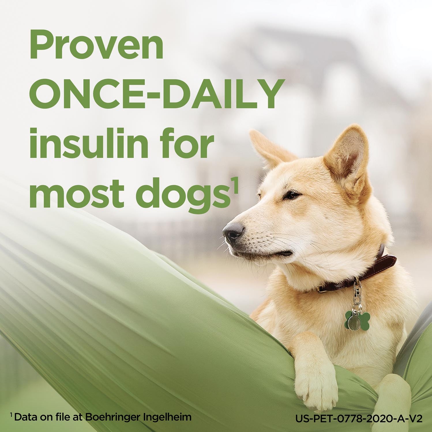 Rx ProZinc Injection for Dogs & Cats, 40 units/ml, 10ml Vial — Jeffers