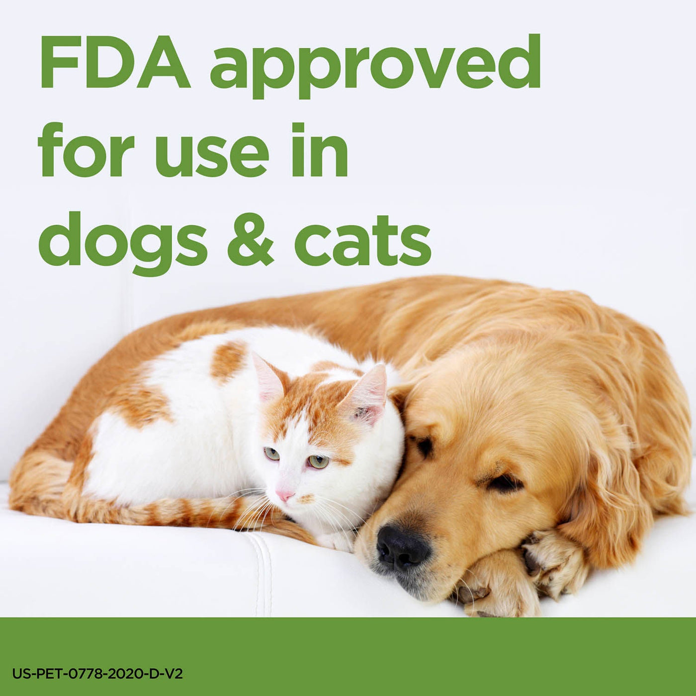 Rx ProZinc Injection for Dogs & Cats, 40 units/ml, 10ml Vial — Jeffers