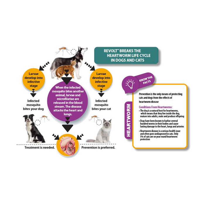 Rx Revolt (Selamectin) for Cat/Dog, 0 - 5 lbs, 3 pk - 012AUR-09701 - 0 - 5lbs - 3pk - 3