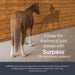 Rx Surpass (1% diclofenac sodium) Topical Cream for Horses, 124 gm/1 Tube - 012IDX01-124 - 2