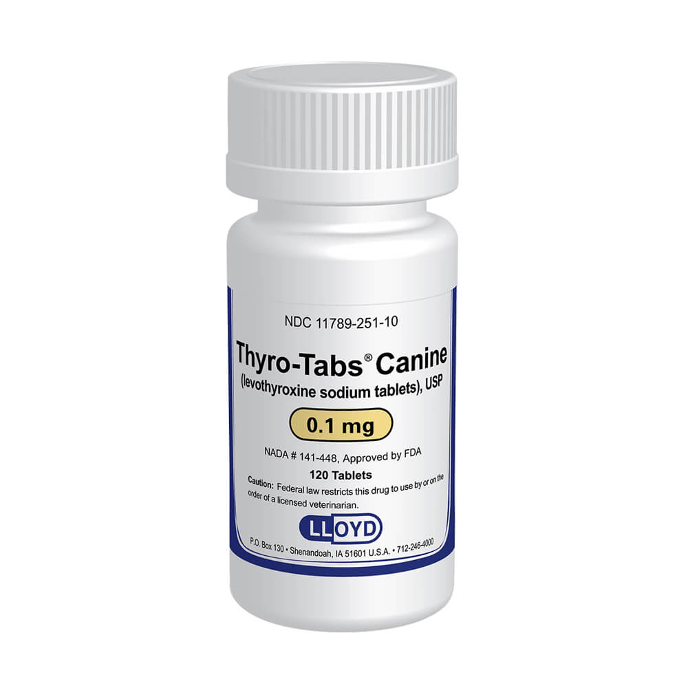 Rx Thyro - Tabs (levothyroxine sodium) Tablets for Dogs - 012125-1-120 - 0.1 mg - 120 tablets - 1