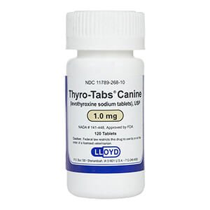 Rx Thyro - Tabs Tablets - Jeffers - Animal Health & Wellness > Medicine