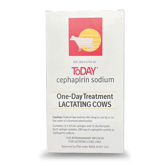 Rx ToDAY (Cephapirin Sodium) One - Day Mastitis Treatment for Lactating Cows, 12 Syringes - 012BI-182467 - 12 (10 mL Syringes) - 1