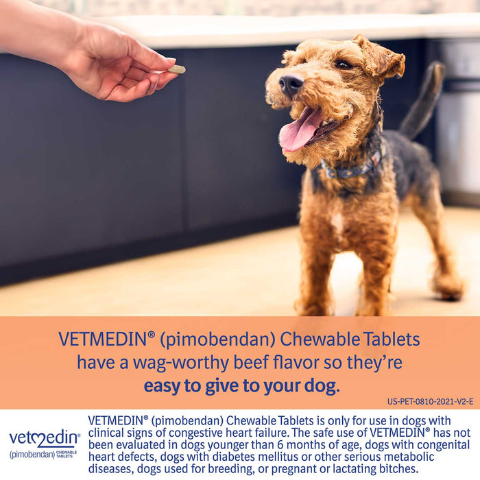 Rx Vetmedin Chewable Tablets - Jeffers - Animal Health & Wellness > Medicine