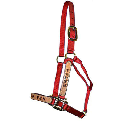 Personalized Nylon Halter, Standard (800-1100 lb) by Supreme Western - Red  