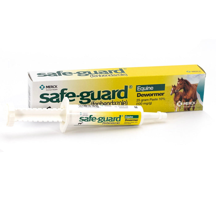 Safe - Guard 10% Fenbendazole Beef & Dairy Cattle and Horses Dewormer Paste, 92g Tube – Broad - Spectrum Parasite Control - I6S6 - 92 g (3.2 oz) - Apple Cinnamon - Single Pack - 1